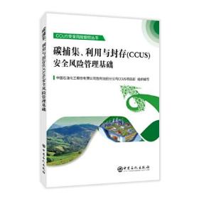 碳捕集、利用与封存（CCUS）安全风险管理基础