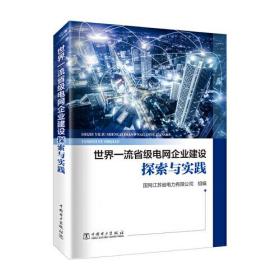 世界一流省级电网企业建设探索与实践、