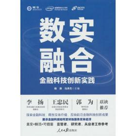 数实融合：金融科技创新实践 （人民日报）