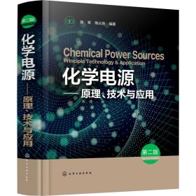 化学电源——原理、技术与应用