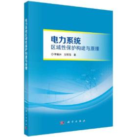 电力系统  区域性保护构建与原理