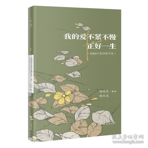 我的爱不紧不慢正好一生：2021中国诗歌年选（花城年选  纵观中国年度文学成就）