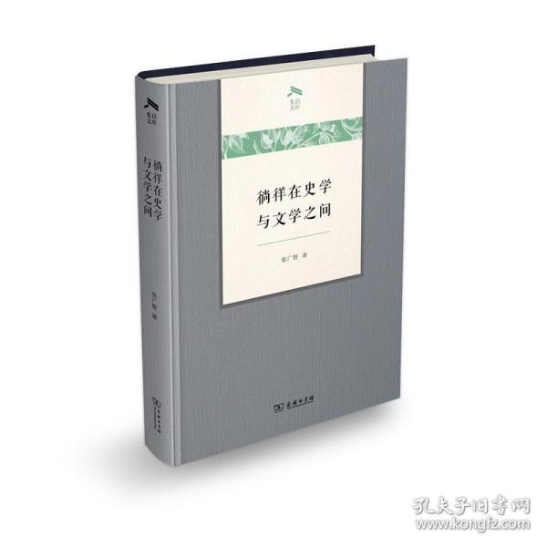 徜徉在史学与文学之间(光启文库)