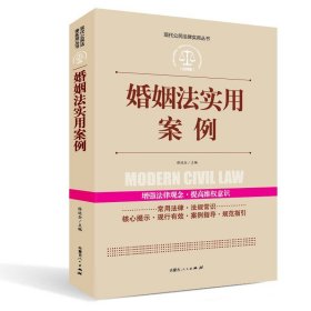 实践应用版-婚姻法实用案例 法律工具书同步2023年案例学法用法推荐常用法律法规大全书籍