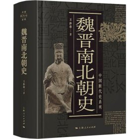 中国断代史系列：魏晋南北朝史