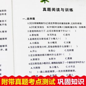 尼尔斯骑鹅旅行记中小学生教辅指定版原著附带考点题型训练阅读课外读物世界经典儿童文学名著