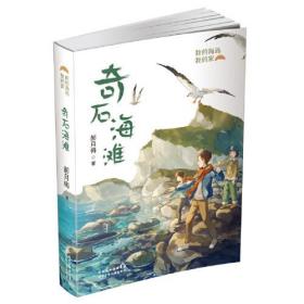 我的海岛我的家：奇石海滩