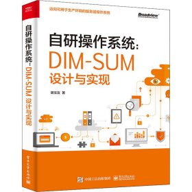 自研操作系统：DIM-SUM设计与实现(博文视点出品)