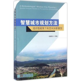 智慧城市规划方法：适应性视角下的空间分析模型