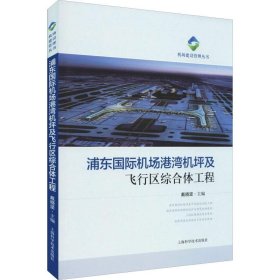 浦东国际机场港湾机坪及飞行区综合体工程