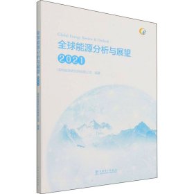 全球能源分析与展望 2021