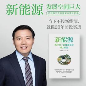 新能源：抓住第三次能源革命重大机遇