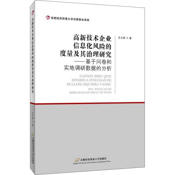 高新技术企业信息化风险的度量及其治理研究