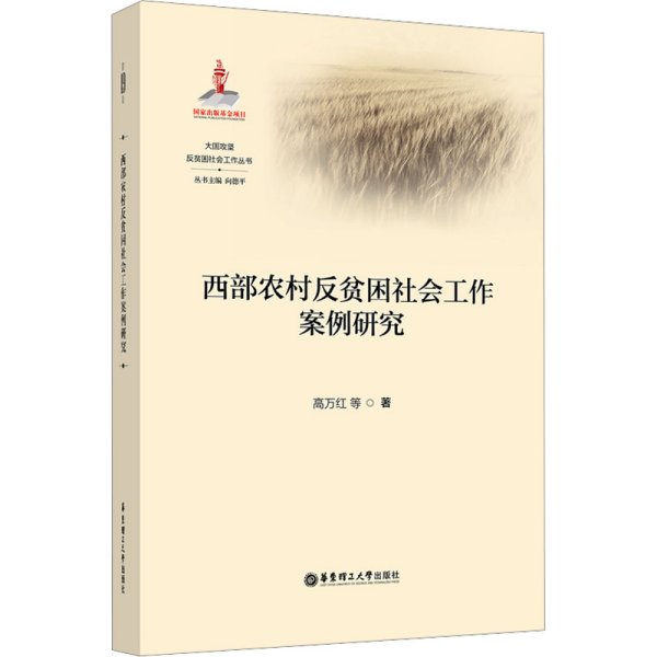 西部农村反贫困社会工作案例研究