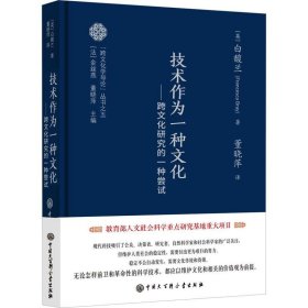 技术作为一种文化：跨文化研究的一种尝试