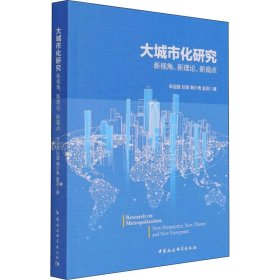 大城市化研究-（新视角、新理论、新观点）