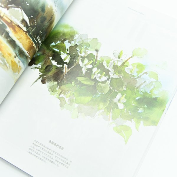 让水彩画达到极致的调色技法：日本绘画大师铃木辉实的水彩画配色心得