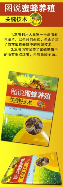 图说蜜蜂养殖关键技术