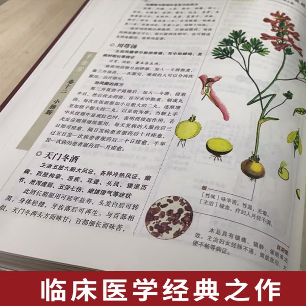 千金方（布面精装彩图珍藏版美绘国学系列）