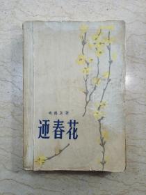 迎春花（馆藏）