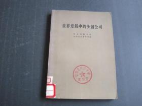 世界發(fā)展中的多國(guó)公司