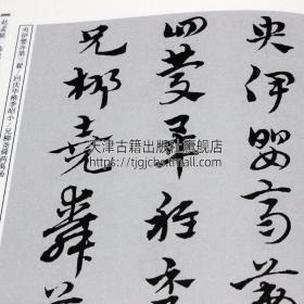 正版图书 历代章草经典 中华历代传世书法经典赵孟俯鲜于枢干字文王羲之豹奴帖草书字帖临习鉴赏临摹书籍 陕西人民美术出版社