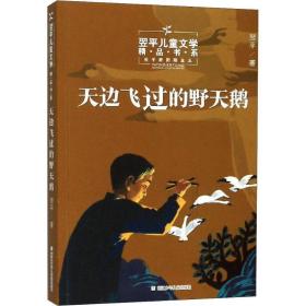 天边飞过的野天鹅/翌平儿童文学精品书系 翌平 著 儿童文学 少儿 浙江少年儿童出版社 正版图书