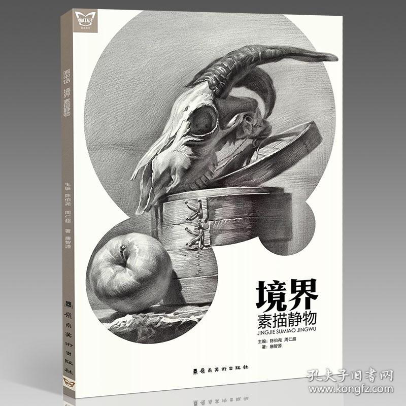 境界素描静物 画中话唐智源单体组合静物结构步骤对照临摹道具罐子范画对临素材美院联考高考零基础美术教程入门教材画册范本书籍