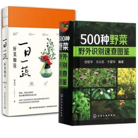 发育生物学