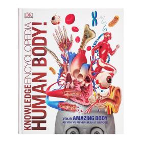 现货 英文原版 Knowledge Encyclopedia Human Body! DK人体知识百科全书 3D插图 从头到脚的人体指南 DK大百科