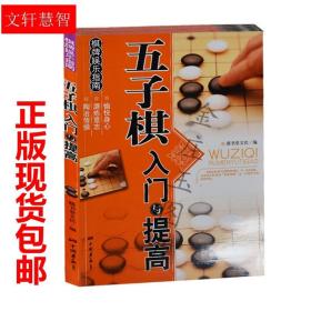 快乐学棋丛书：五子棋新手入门