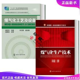 煤气化工艺及设备操作 煤气化生产技术 空气分离煤气净化技术合成氨生产甲醇生产合成二甲醚生产制备技术书籍 煤化工企业培训教材