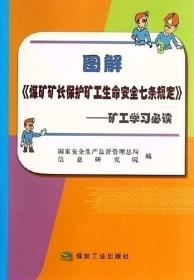 图解《煤矿矿长保护矿工生命安全七条规定》矿工学习书籍国家安全生产监督管理总局信息研究院编/煤炭工业出版社/全新正版