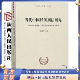 当代中国经济刑法研究 陕西人民出版社