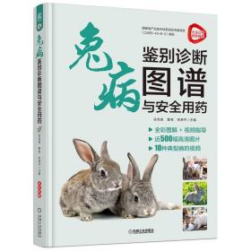 兔病鉴别诊断图谱与安全用药 兔子养殖技术书肉兔养殖书籍农业畜牧兽医专业兔病预防与诊手册治野兔饲养养殖场建设指南书籍