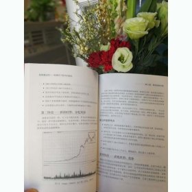 交易大师系列 股票魔法师——纵横天下股市的奥秘