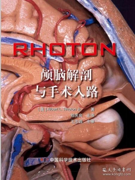 RHOTON?颅脑解剖与手术入路