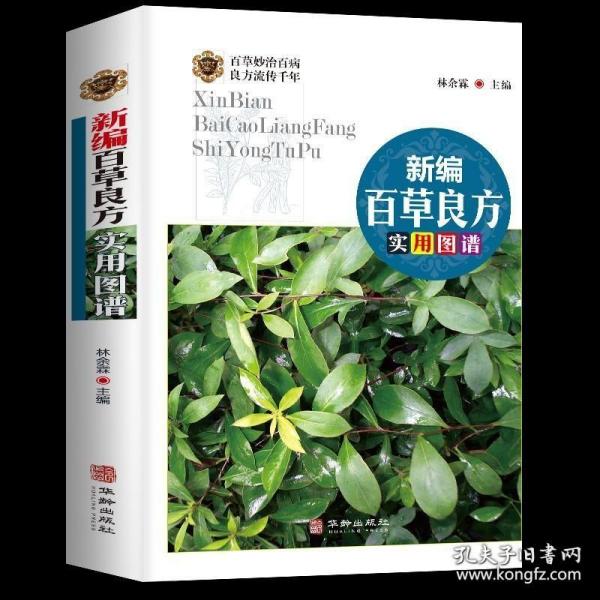 500种中草药图鉴