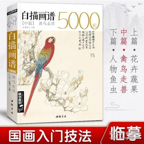 白描画谱5000例中篇(禽鸟走兽)/经典全集系列丛书