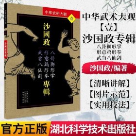 沙国政专辑：八卦狮形掌、形意鸡形拳、武当八仙剑