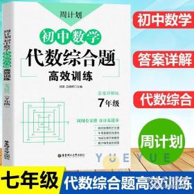 周计划：初中数学代数综合题高效训练（7年级）