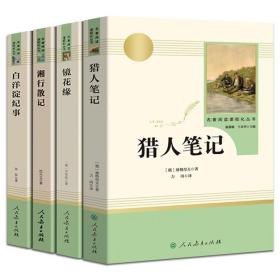 白洋淀纪事 名著阅读课程化丛书（统编语文教材配套阅读）七年级上