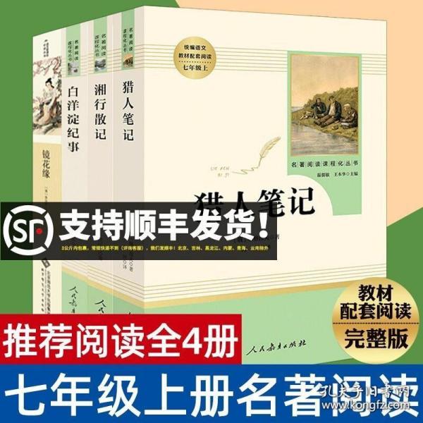 白洋淀纪事 名著阅读课程化丛书（统编语文教材配套阅读）七年级上