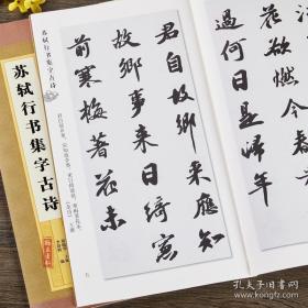 集字字帖系列·苏轼行书集字对联