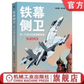 铁幕侧卫—— 苏-27战斗机家族群英谱