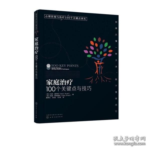 家庭治疗：100个关键点与技巧/心理咨询与治疗100个关键点译丛