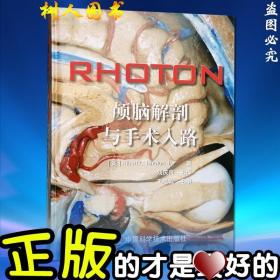 RHOTON?颅脑解剖与手术入路