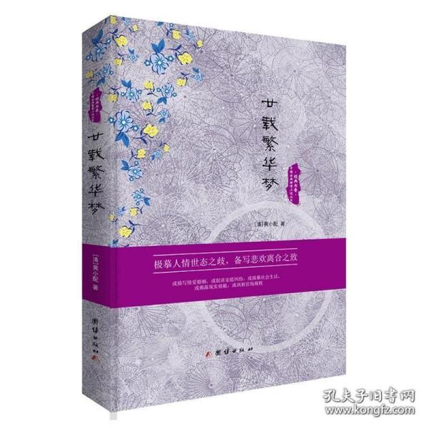 中国古典世情小说丛书：廿载繁华梦