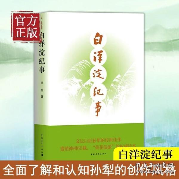 白洋淀纪事 名著阅读课程化丛书（统编语文教材配套阅读）七年级上