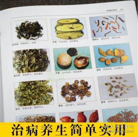 正版 中G膏药配方配制全书 膏药疗法方法作用注意事项各科膏方选 内妇产男儿皮外骨伤传染科养生保健 中医临床有效治疗方法